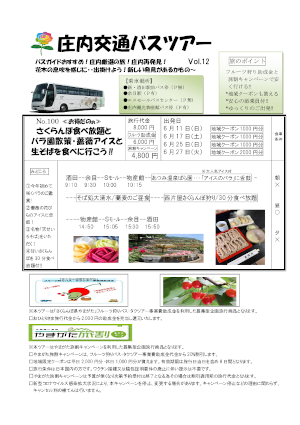 チラシPDF